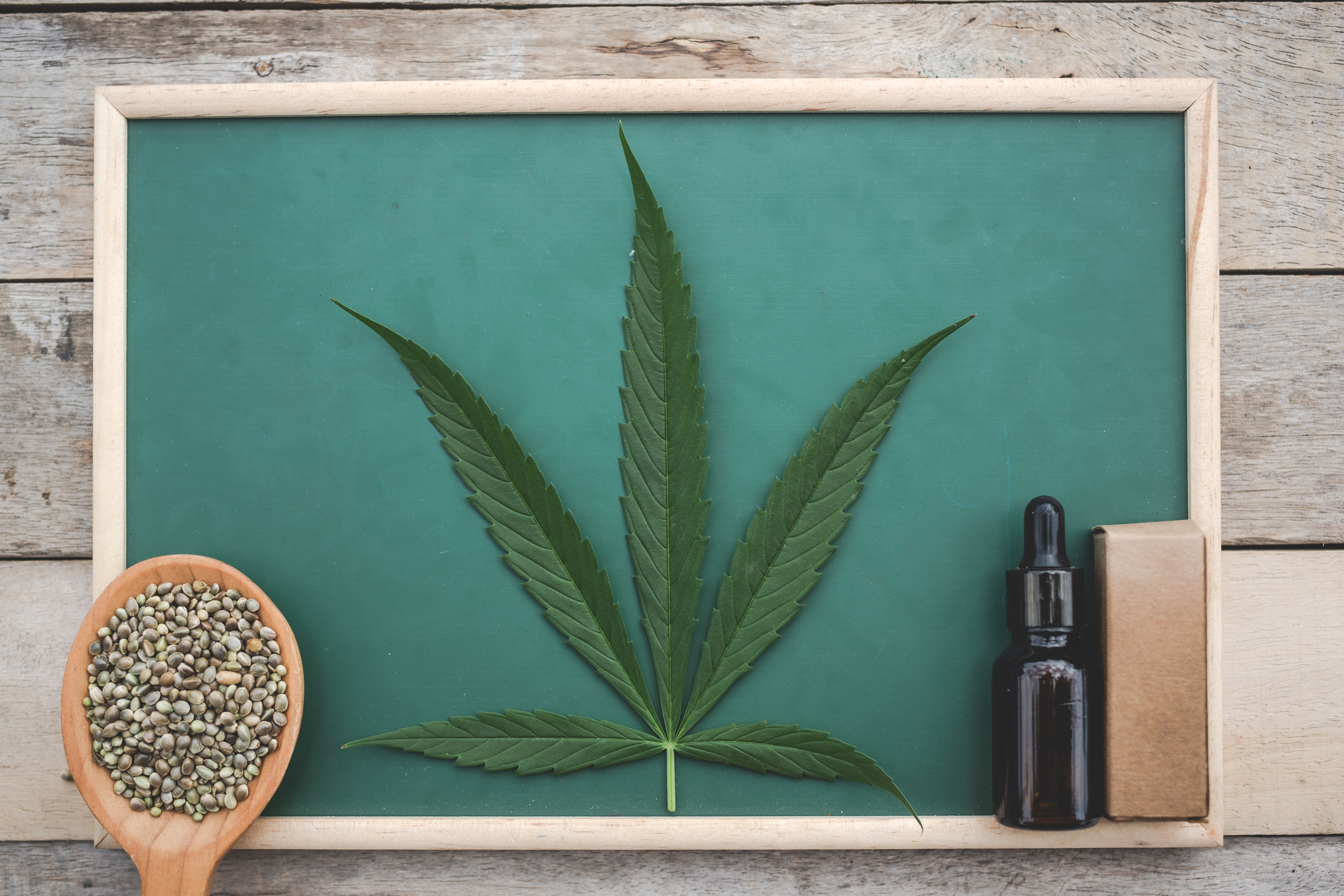 CBG vs CBD: Understanding the New Wellness Trend