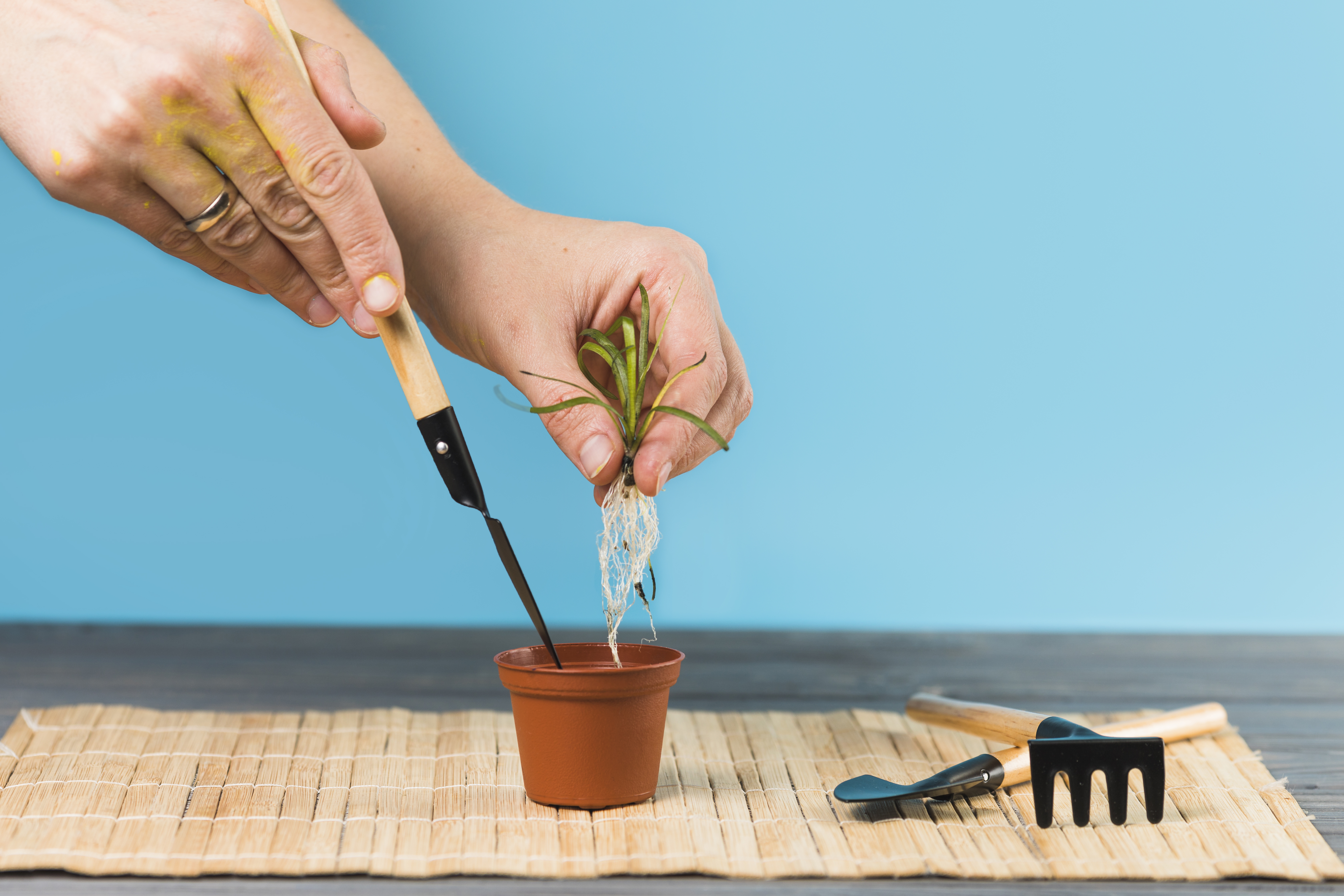 7 Sustainable Gardening Trends: April 2025 Edition