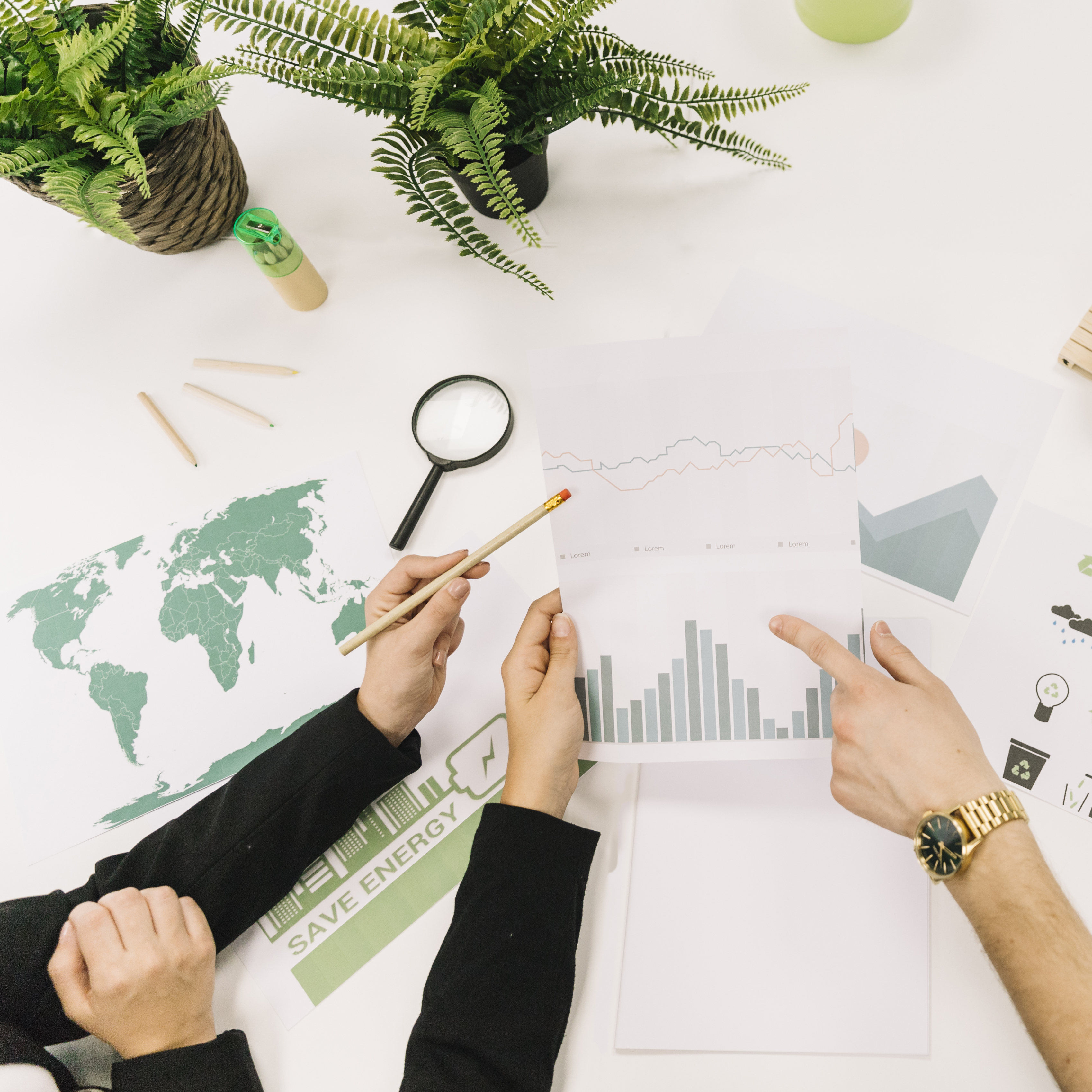 “ESG Reporting Goes Digital: Tools Every Business Needs in 2025”